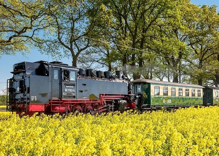 Apartment Fewo`s Mehlberg *